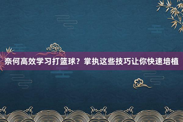 奈何高效学习打篮球？掌执这些技巧让你快速培植